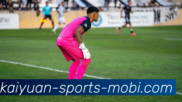 开元体育APP 封面图